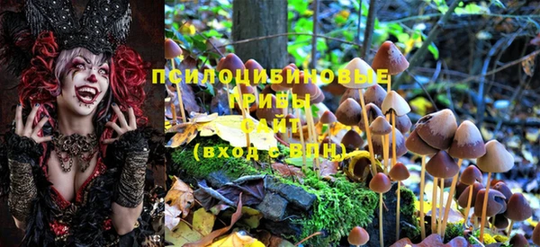 мефедрон Заводоуковск