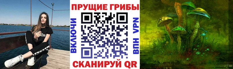 Галлюциногенные грибы Psilocybine cubensis продажа наркотиков Плавск